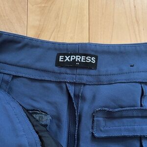 Express dress pants